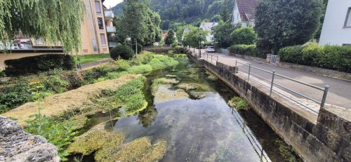 7ab8dcec-e331-499c-ac02-d5a8ca449c6e