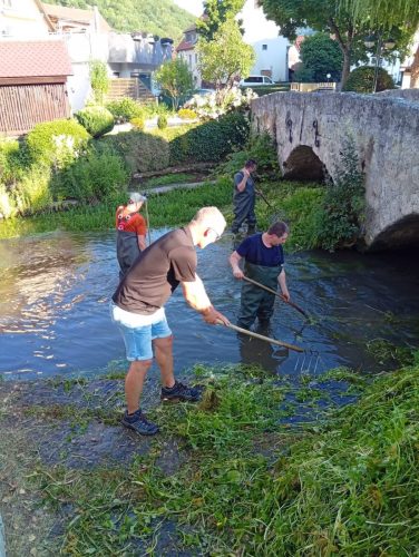 e1f69907-be86-4eb9-98fa-913c6d9ee444